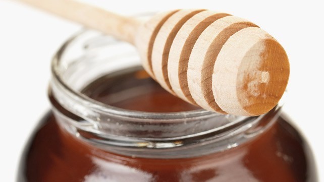  Honey Look Like East Hartford CT 6108